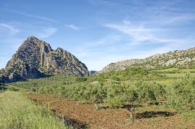 Finca agrícola en Andalucía rodeada de cultivos y paisaje natural